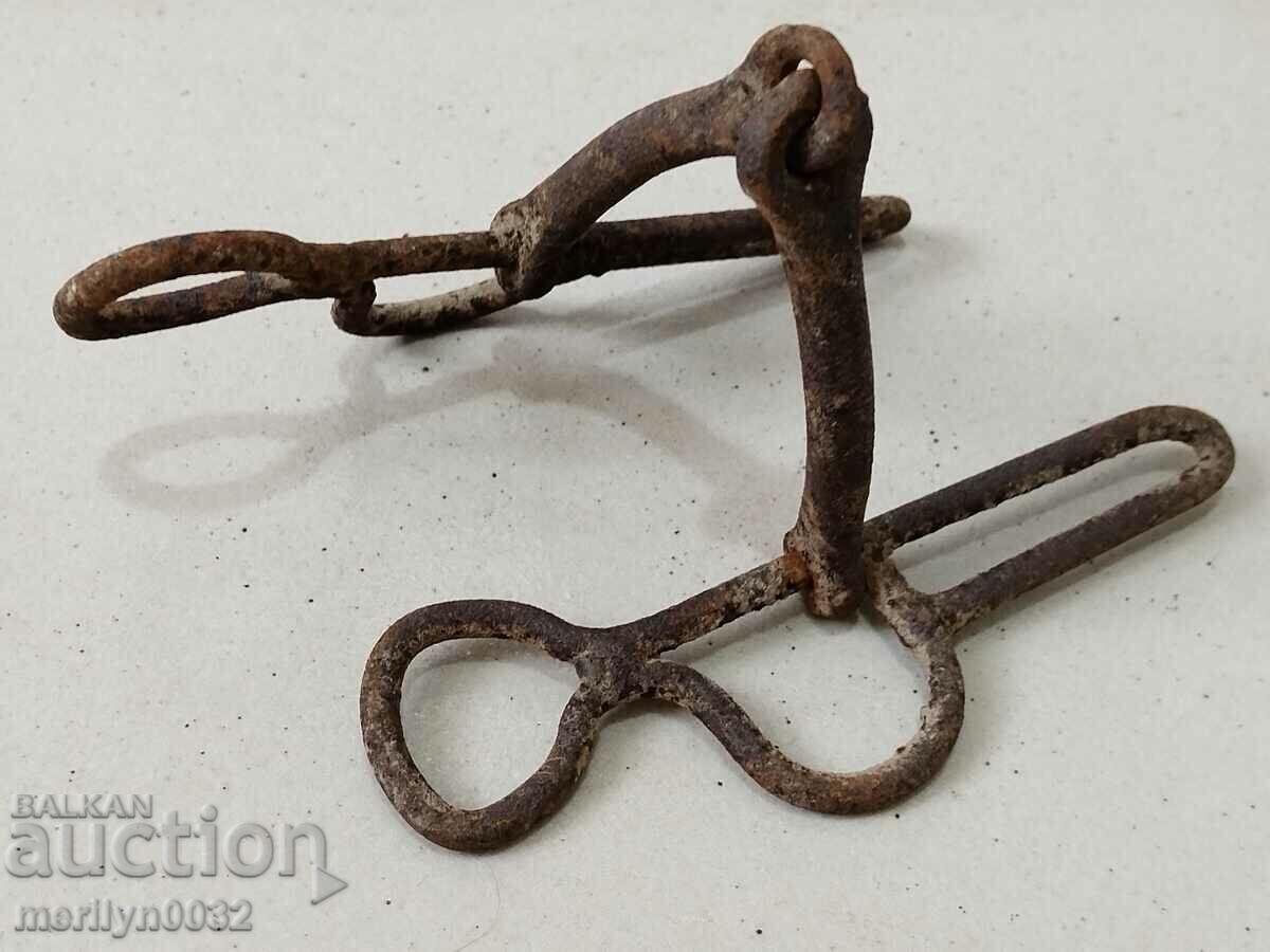 Old wrought bridle bridle wrought iron, harness - 5 Old wrought bridle bridle wrought iron, harness - 5