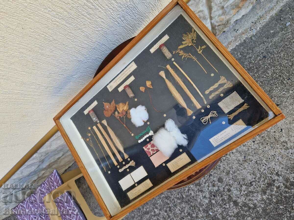 Great Antique Poster Board Fibrous Plants with price € 44.99 | 87.99 BGN