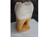 3D model of a tooth large 20/8cm teaching model from the time of the soca