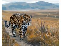 Siberian Gepard. Image ® Studio Perfect Image Ltd.