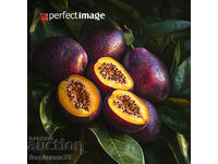 Fructe exotice. Image ® Studio Perfect Image Ltd.