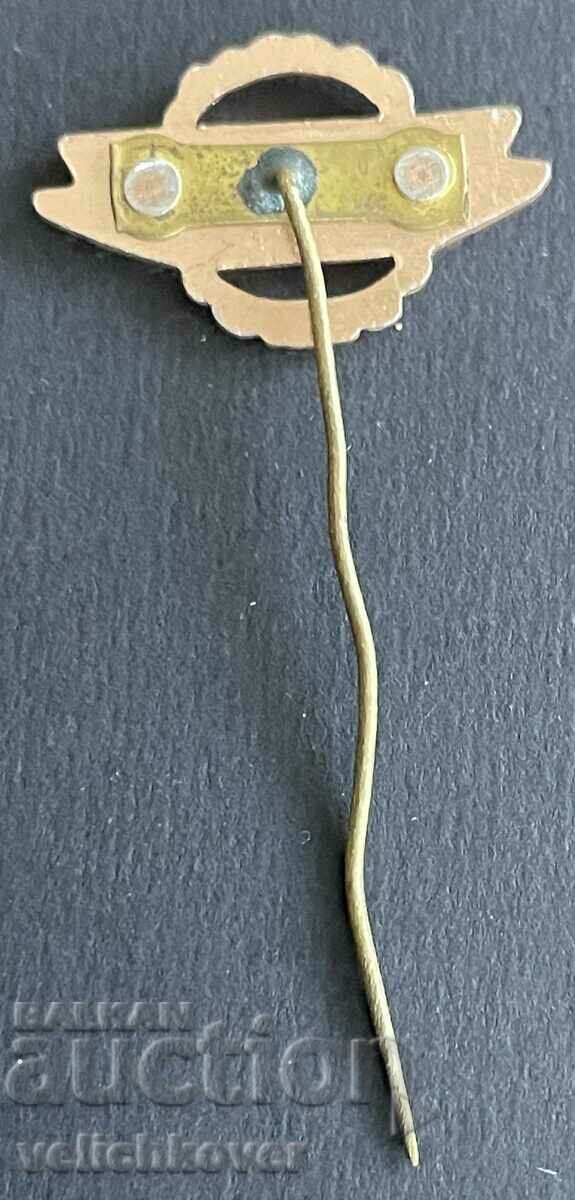 38661 Ουγγαρία λογότυπο λεωφορεία Ikarus 70's με τιμή 5.00 BGN | € 2.56