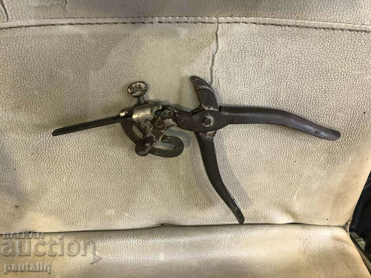 CHAPRAZ with price 10.00 BGN | € 5.11 CHAPRAZ with price 10.00 BGN | € 5.11