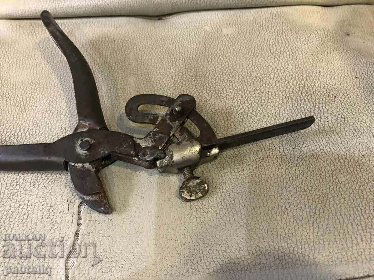 Auction CHAPRAZ Auction CHAPRAZ