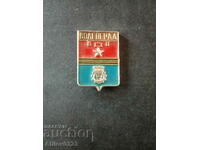 Badge of the city of Volgograd, USSR.