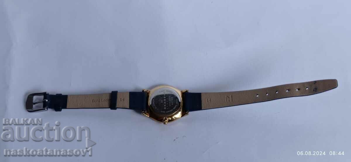 Delivery of Skagen wristwatch