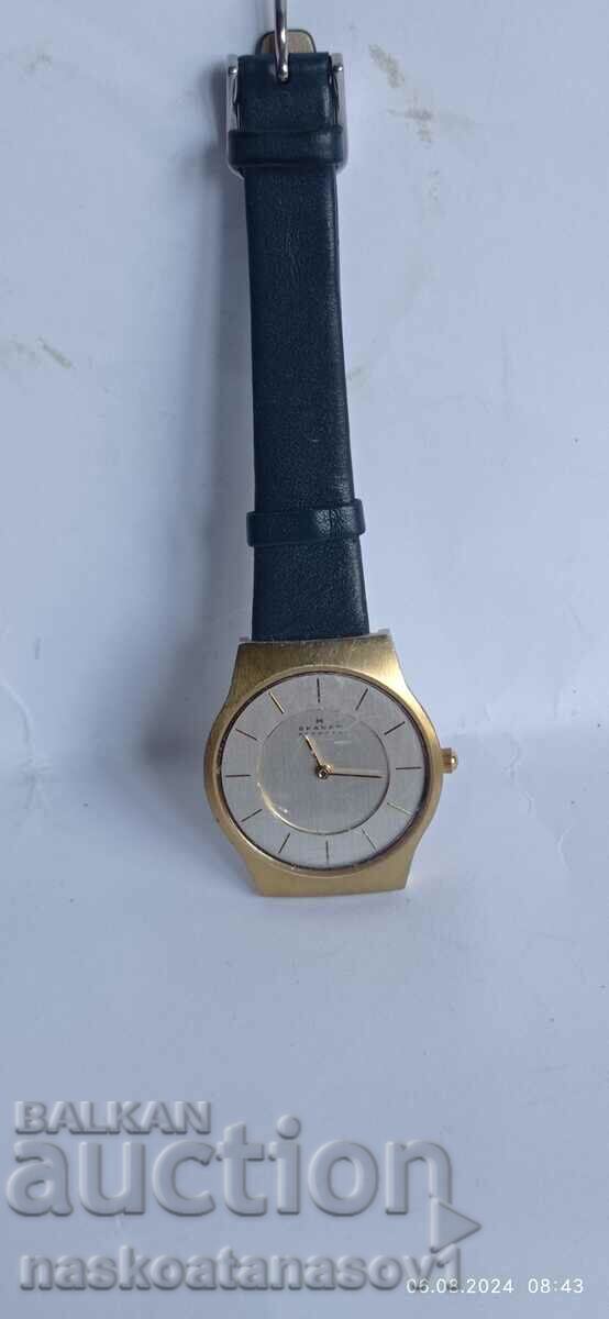 Skagen wristwatch