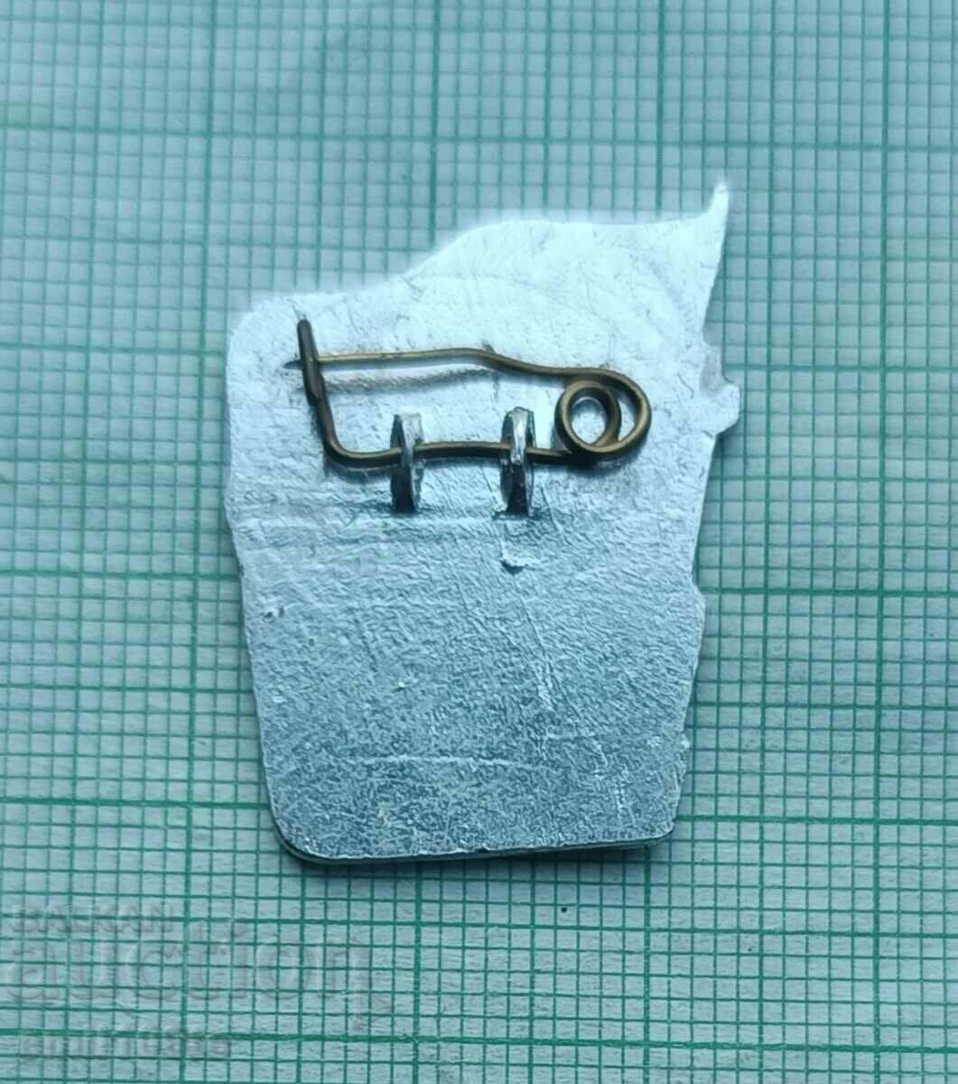 Badge - 1979 Olympics - Propaganda Vietnam - 7