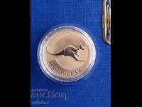 Moneda de argint „Cangaroo”, 1 oz, 2004, Australia