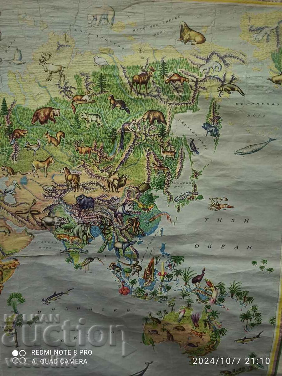 Delivery of Old map 1961 from Sotsa (Natural landscapes of the world) large Delivery of Old map 1961 from Sotsa (Natural landscapes of the world) large