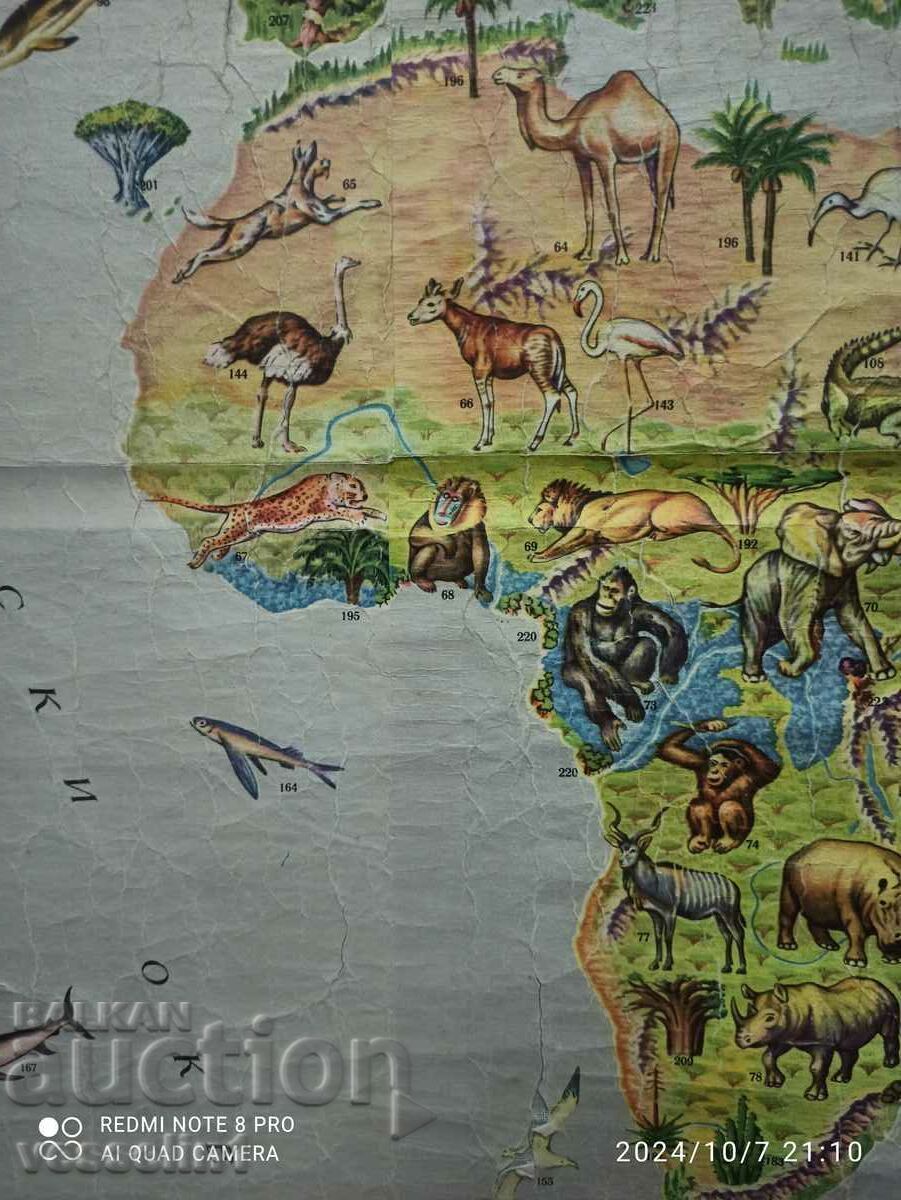 Old map 1961 from Sotsa (Natural landscapes of the world) large - 5 Old map 1961 from Sotsa (Natural landscapes of the world) large - 5