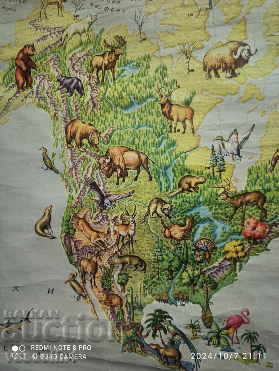 Old map 1961 from Sotsa (Natural landscapes of the world) large - 6 Old map 1961 from Sotsa (Natural landscapes of the world) large - 6