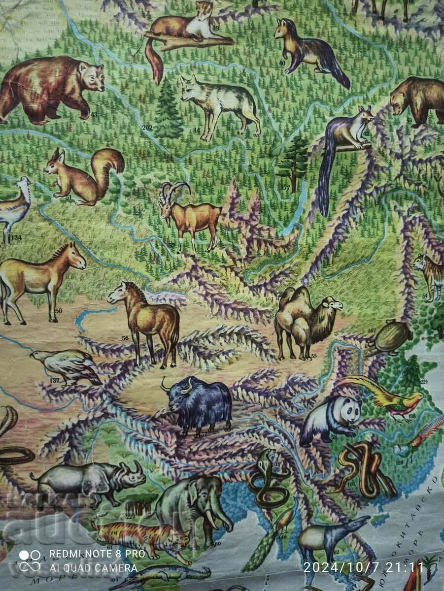 Old map 1961 from Sotsa (Natural landscapes of the world) large - 7 Old map 1961 from Sotsa (Natural landscapes of the world) large - 7