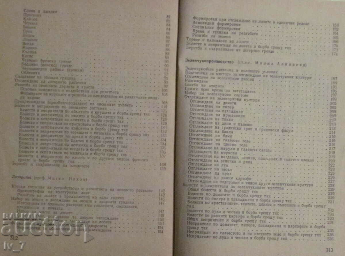 Delivery of COURTYARD GARDEN - M. Nikov, M. Alipiev, V. Angeliev, L. Hristov