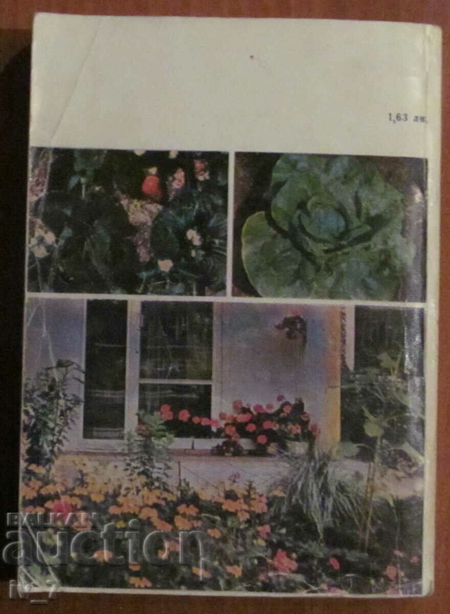 COURTYARD GARDEN - M. Nikov, M. Alipiev, V. Angeliev, L. Hristov - 6