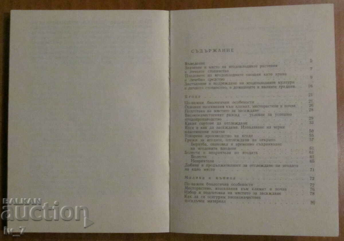 Аукцион ОТГЛЕЖДАНЕ на  ЯГОДОПЛОДНИ РАСТЕНИЯ - Лулчо Христов