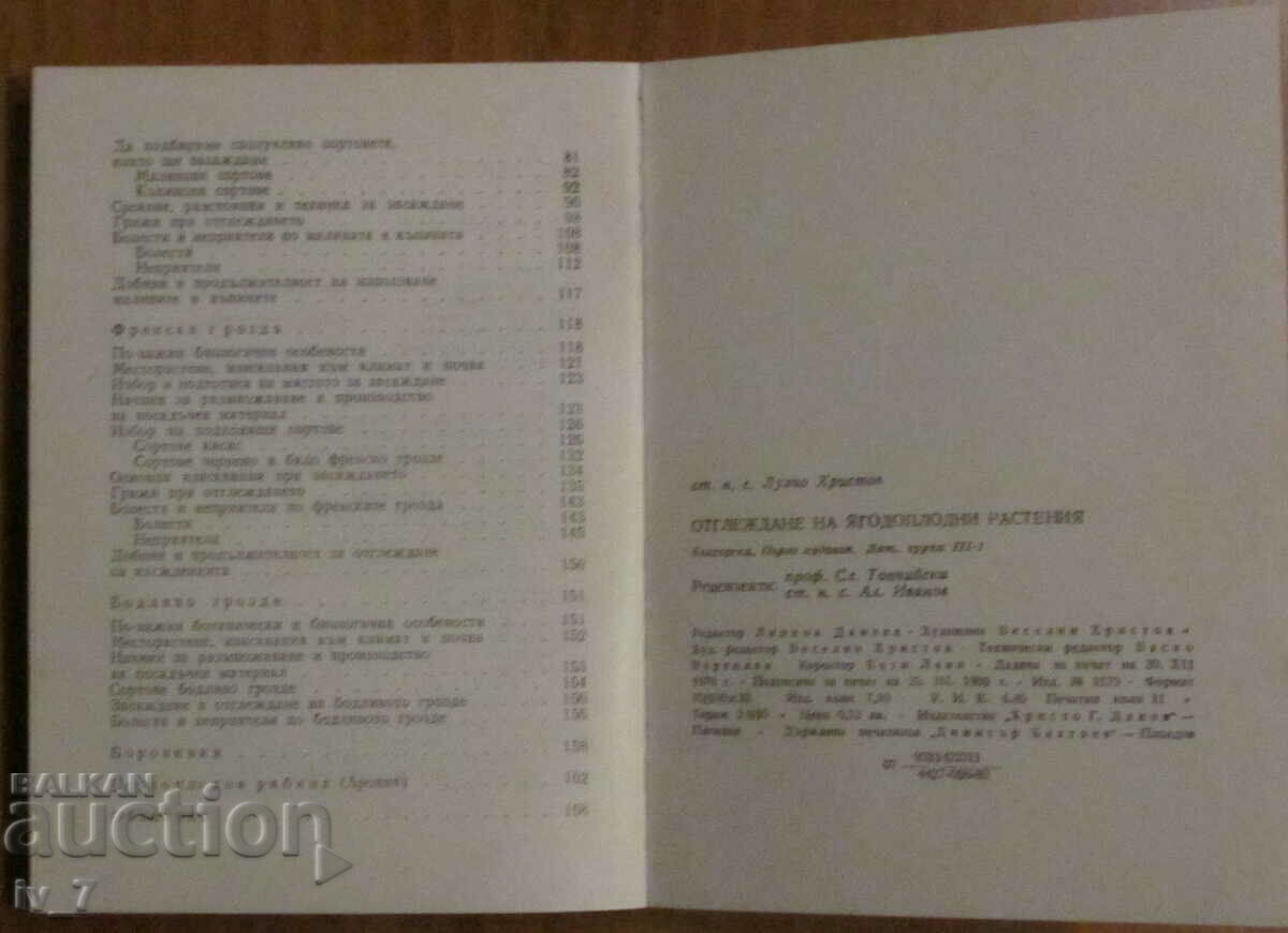 Доставка на ОТГЛЕЖДАНЕ на  ЯГОДОПЛОДНИ РАСТЕНИЯ - Лулчо Христов