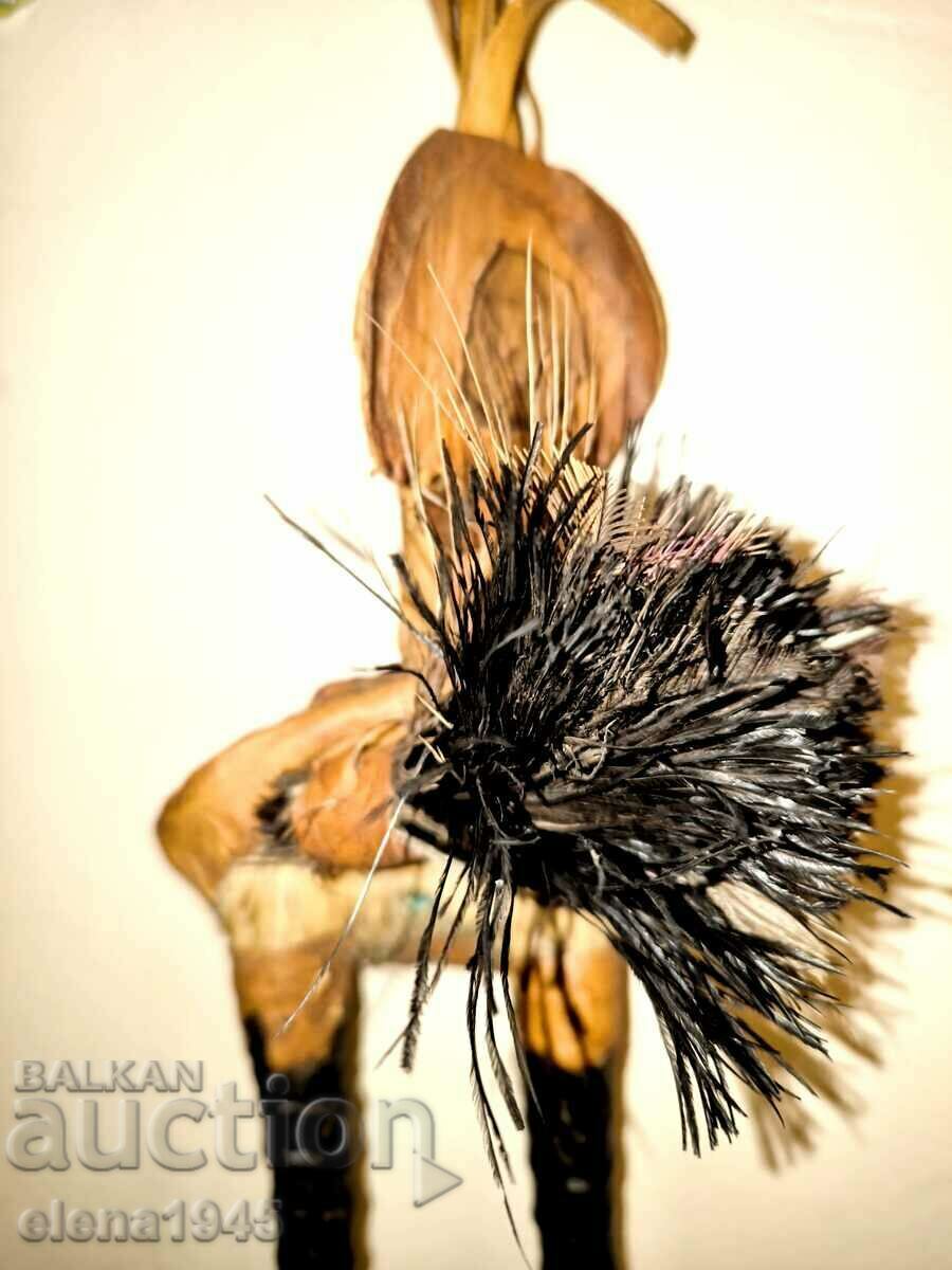 coarne de antilope africane - 5 coarne de antilope africane - 5