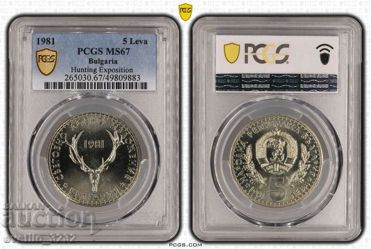 5 BGN 1981 Κυνηγετική Έκθεση MS 67 PCGS