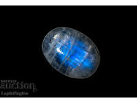 Moonstone 5ct Oval Cabochon #20