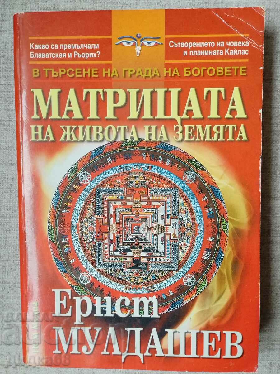 The matrix of life on earth / Ernst Muldashev