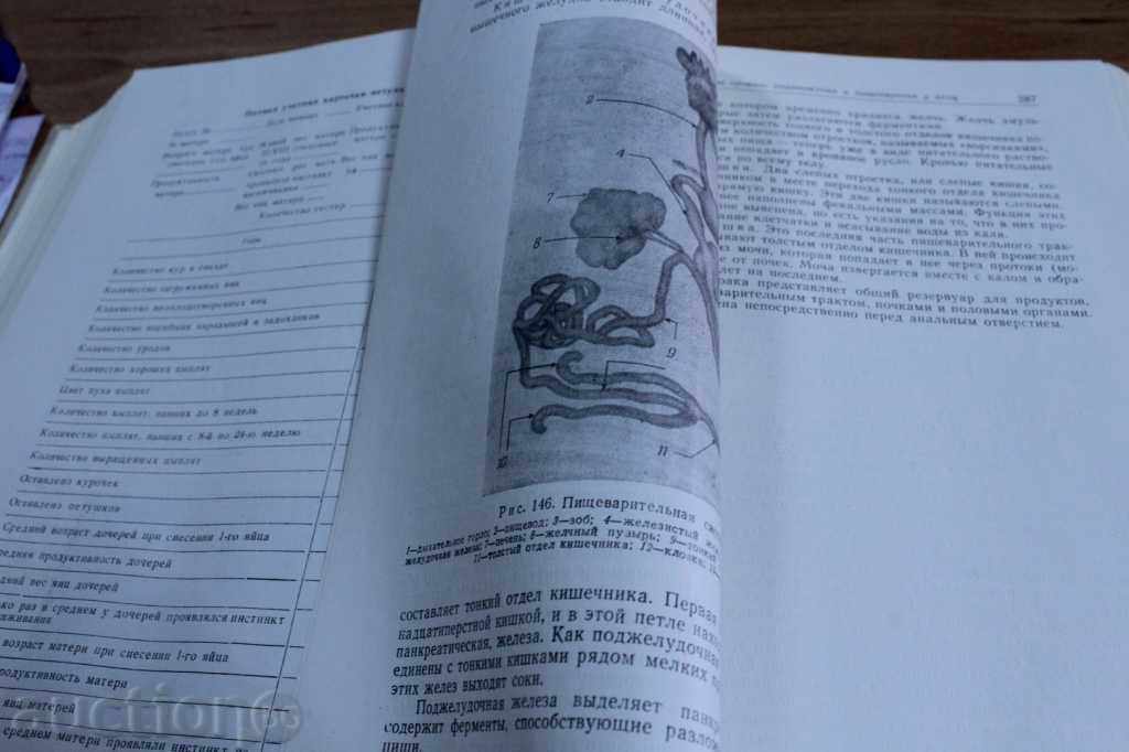 FERMA PĂSĂRI MODERNĂ CULTURĂ PĂSĂRI DE GĂINI cu preț 7.00 BGN | € 3.58