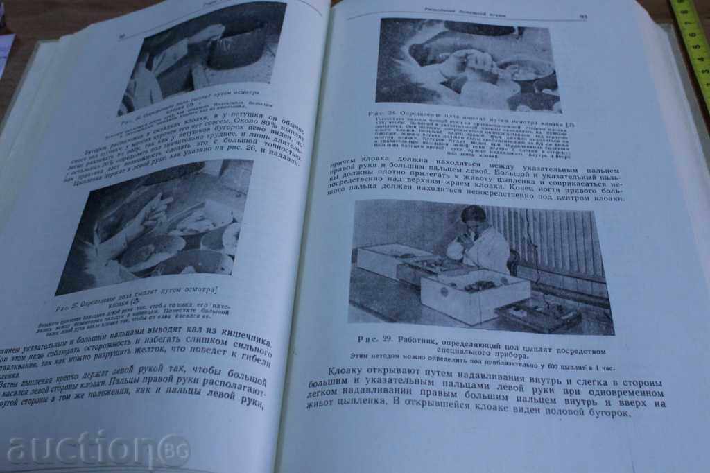 Licitație FERMA PĂSĂRI MODERNĂ CULTURĂ PĂSĂRI DE GĂINI