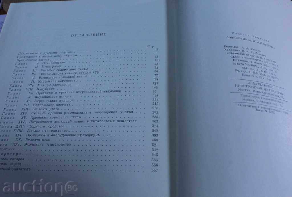 FERMA PĂSĂRI MODERNĂ CULTURĂ PĂSĂRI DE GĂINI - 6