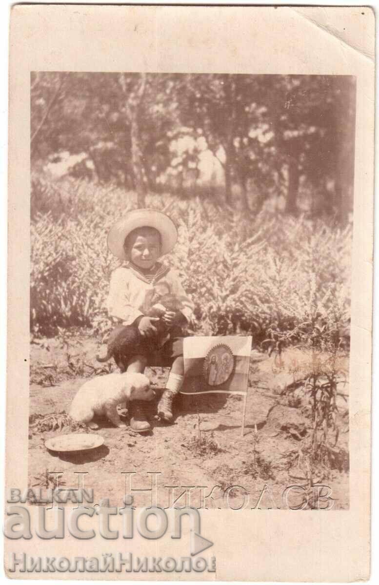 OLD PHOTO BOY AND DOG CELEBRATING 11/24 MAY D054 OLD PHOTO BOY AND DOG CELEBRATING 11/24 MAY D054