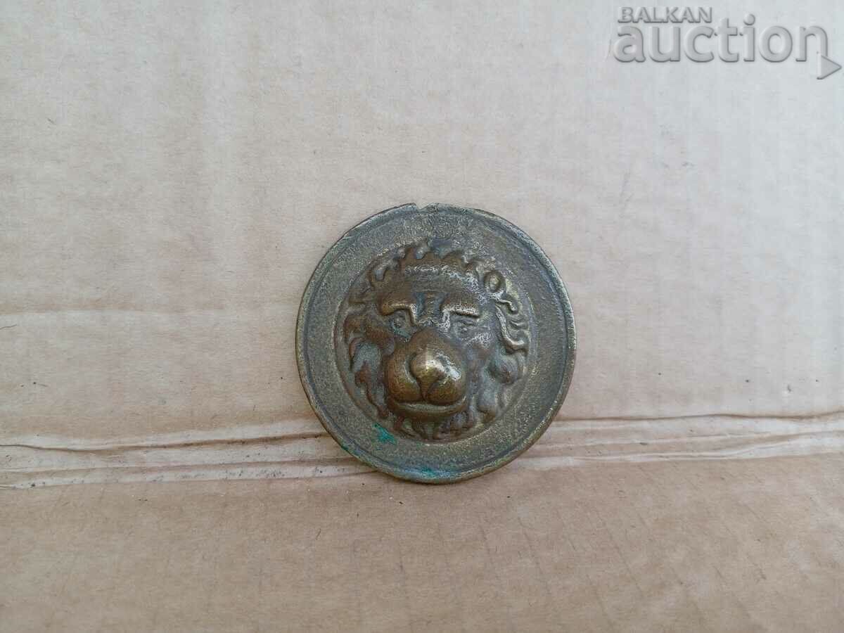 safe deposit box lock cap lion lion cub