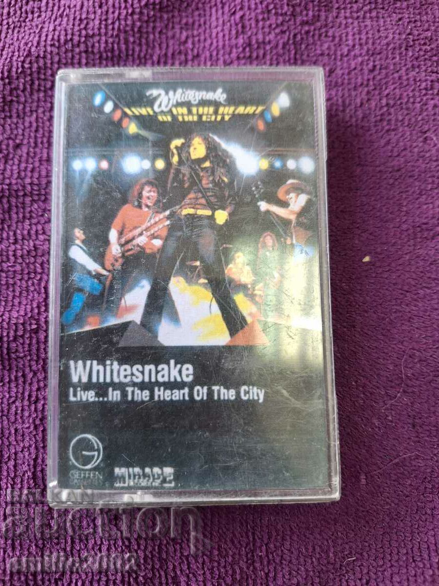 Κασέτα ήχου Whitesnake