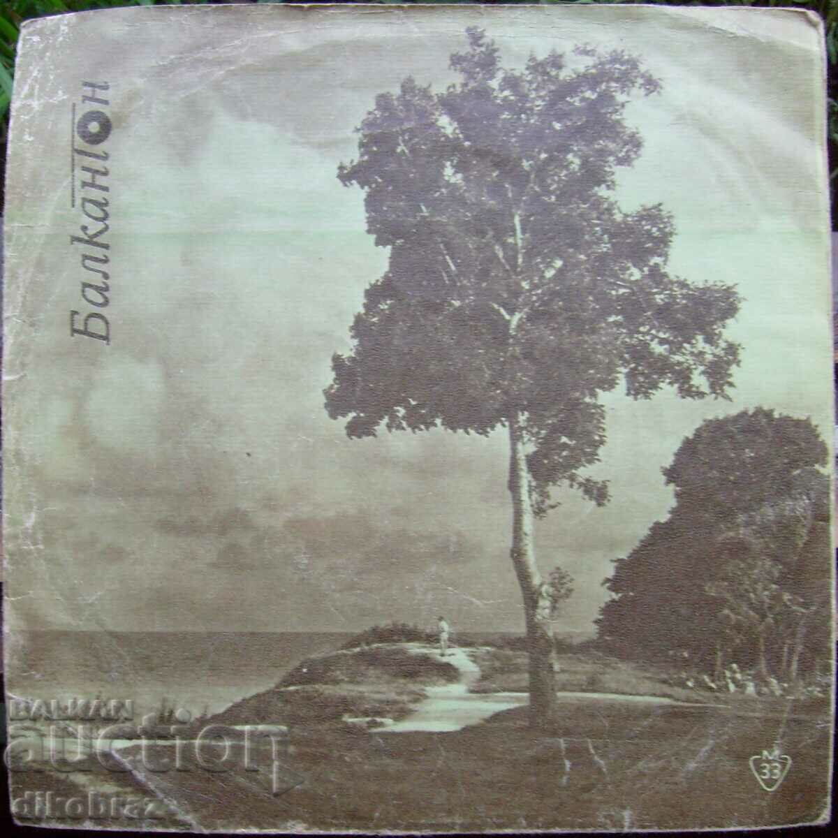 Δημοπρασία Δίσκος γραμμοφώνου - Meho Puzic - Νο 2905 Δημοπρασία Δίσκος γραμμοφώνου - Meho Puzic - Νο 2905