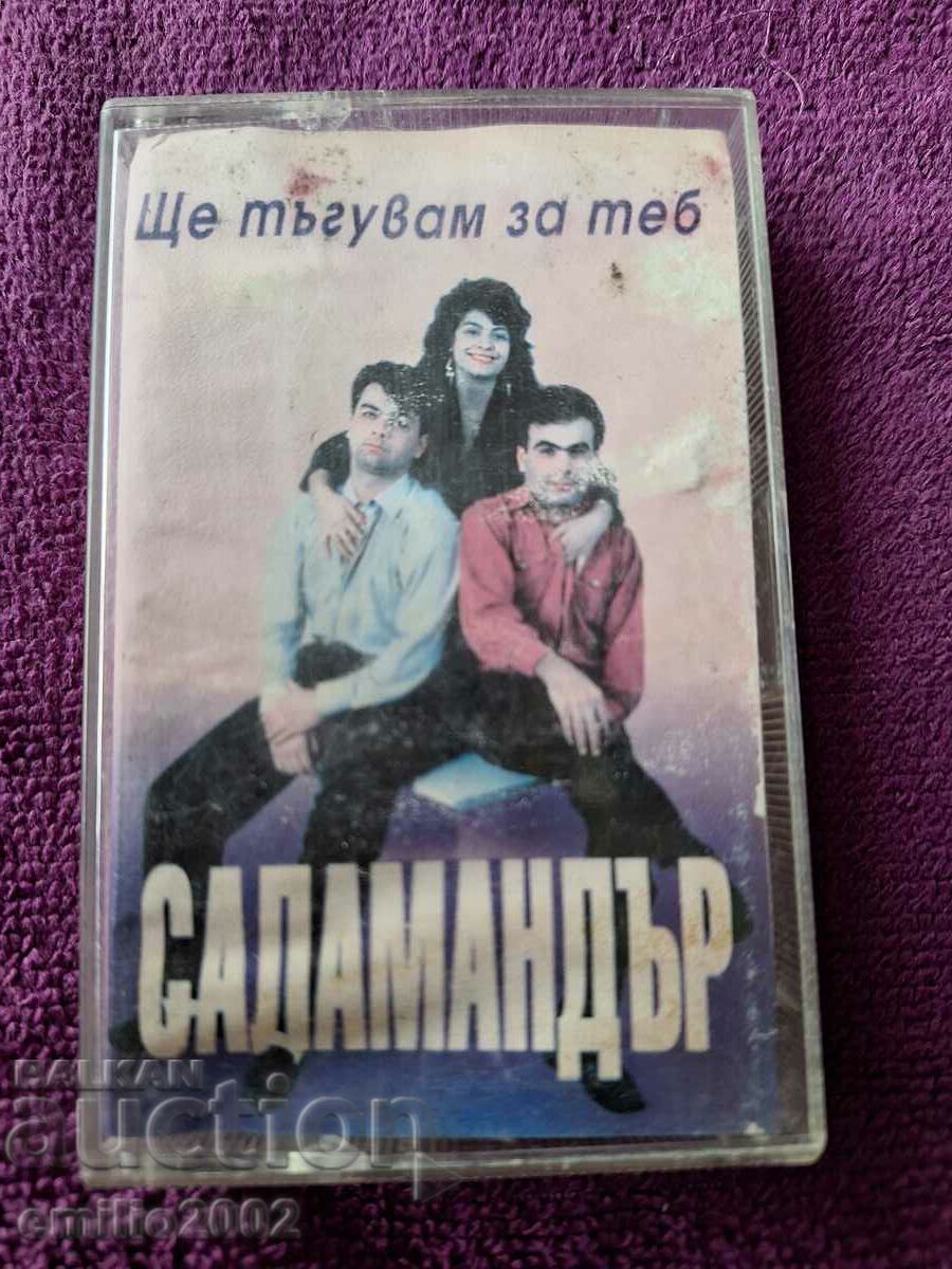 Salamander Audio Cassette