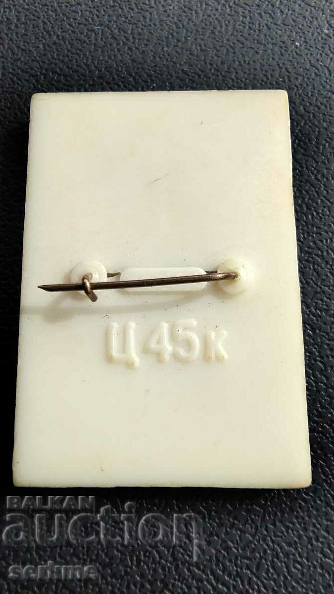 Badge with price 1.00 BGN | € 0.51