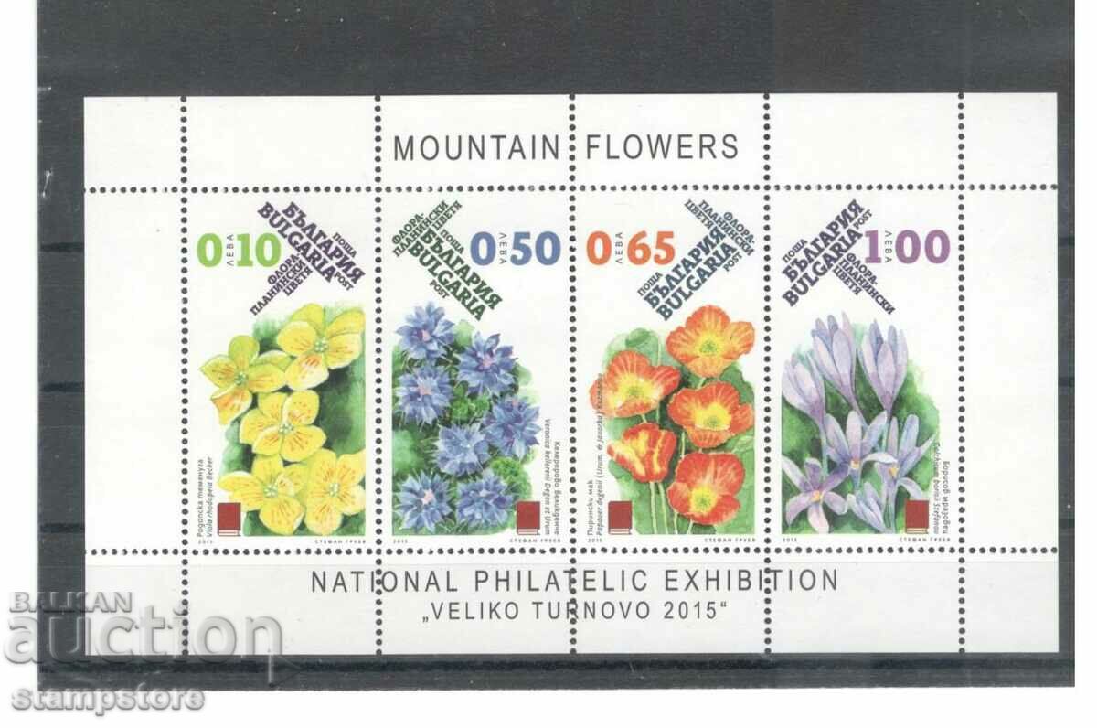 Mountain flowers - block 2015