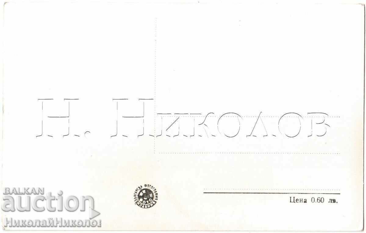 OLD CARD DEVIN SQUARE CINEMA COURT HOUSE D084 with price 3.00 BGN | € 1.53 OLD CARD DEVIN SQUARE CINEMA COURT HOUSE D084 with price 3.00 BGN | € 1.53