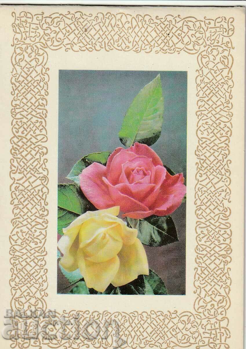 Russia/USSR/PC Greeting card