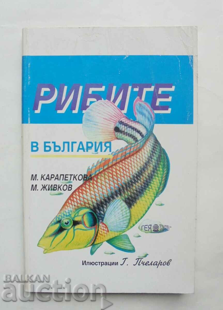 Fish in Bulgaria - Maria Karapetkova, Mladen Zhivkov 1995