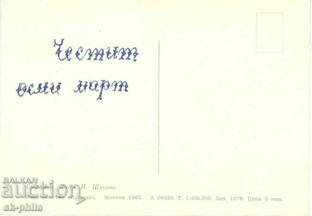 Old card - flowers - Carnations with price 0.40 BGN | € 0.20 Old card - flowers - Carnations with price 0.40 BGN | € 0.20