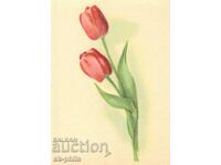 Old card - flowers - Tulips