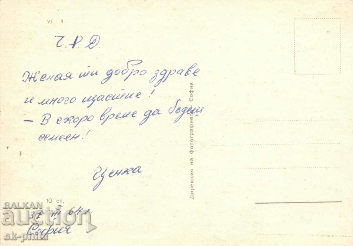 Old card - flowers - Tulips with price 0.60 BGN | € 0.31