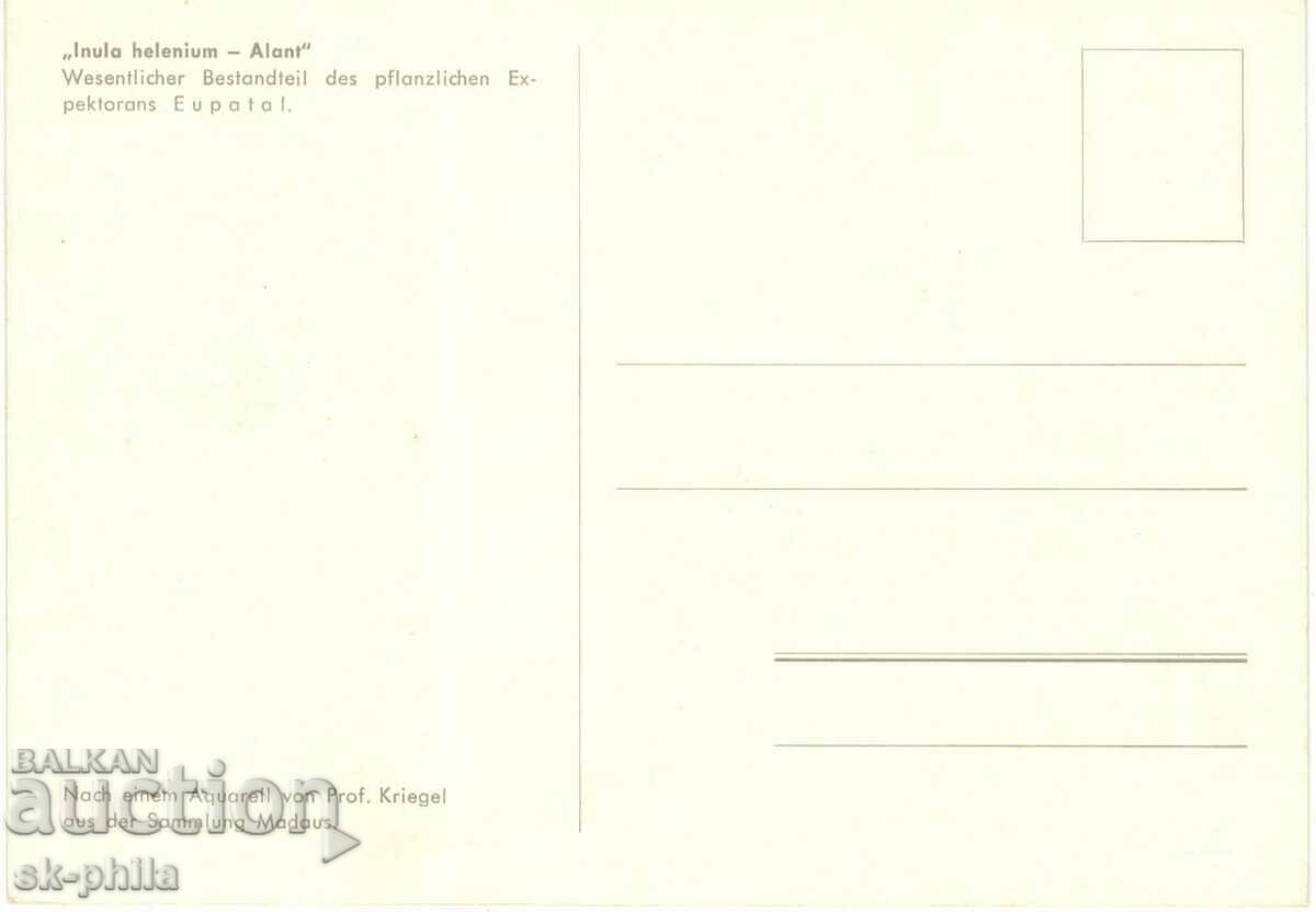 Old card - flowers - Allant with price 0.70 BGN | € 0.36