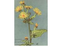 Old card - flowers - Allant