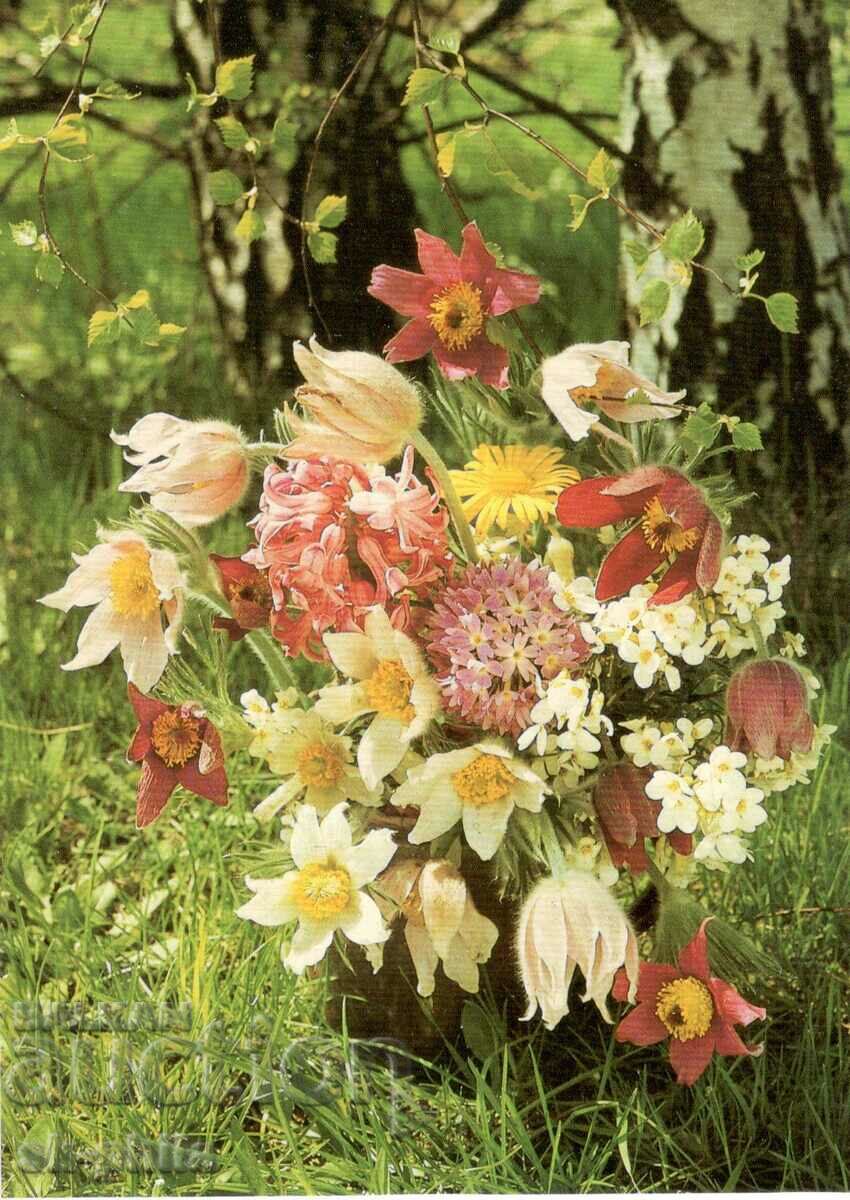 Old card - flowers - Bouquet of garden flowers