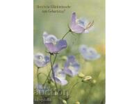 Old card - flowers - Gentian