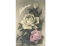 Old card - flowers - Roses