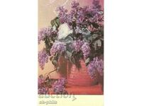 Old card - flowers - Lilac bouquet