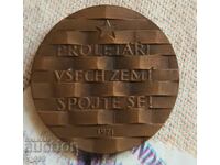 Czechoslovakia Commemorative Medal