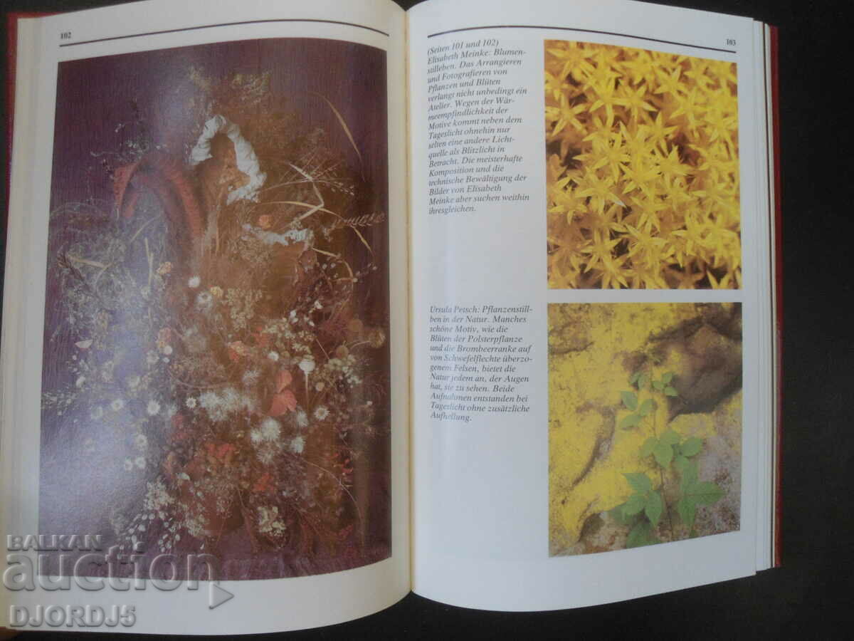 PENTACON SIX, Ursula Petsch - 6 PENTACON SIX, Ursula Petsch - 6