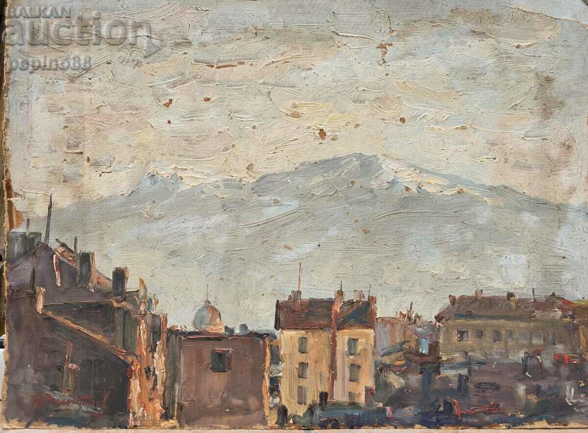 B.Z.Ts Nikola Dimitrov /1894-1989/ - Sofia landscape